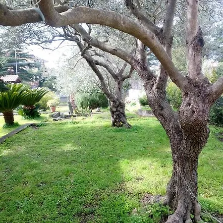 Etna Travellers לינה וארוחת בוקר