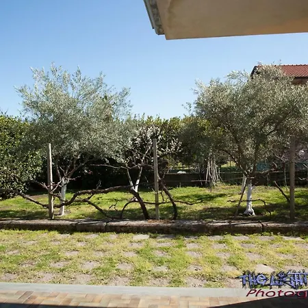 לינה וארוחת בוקר Etna Travellers מאסקלוצ'יה