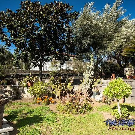 Etna Travellers לינה וארוחת בוקר