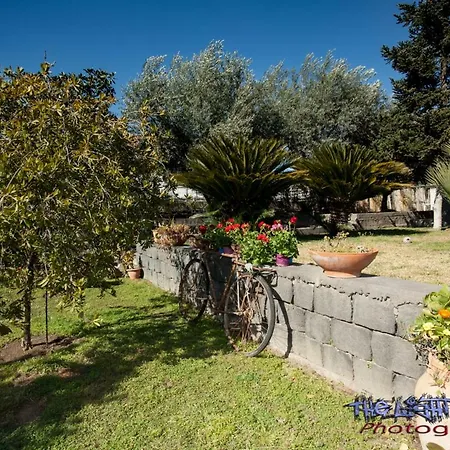 לינה וארוחת בוקר Etna Travellers מאסקלוצ'יה